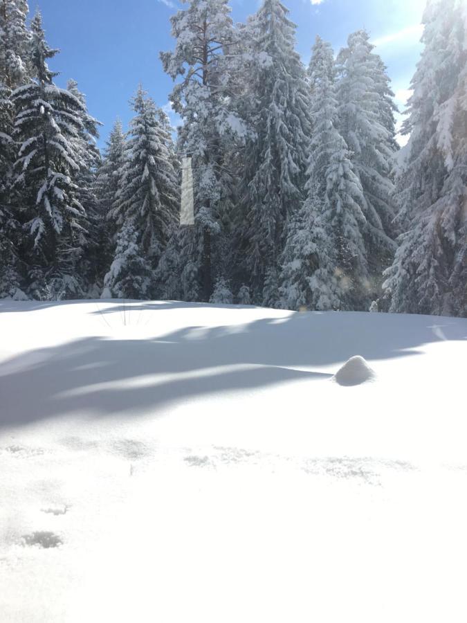 Borovets Chalets Exterior foto